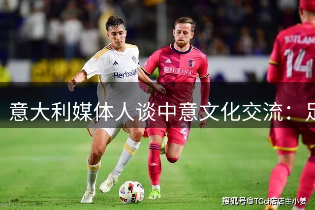 意大利媒体人谈中意文化交流：足球不是中国唯一需要追赶的领域